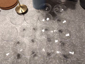 14 plastic glaasjes gratis