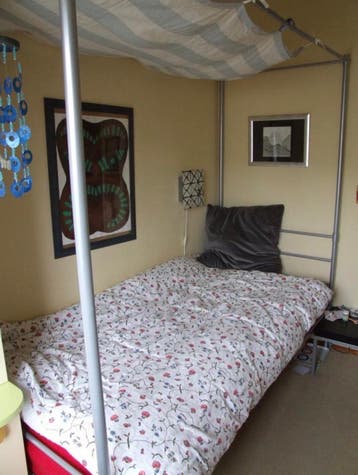 Gratis Eenpersoonsbed met metalen frame voor hemel