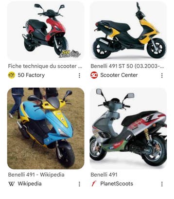 Benelli 491 onderdelen gezocht