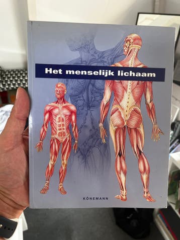 Het menselijk lichaam - Gratis af te halen