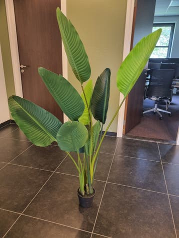Grote Kunstplant Strelitzia - Realistisch en Onderhoudsvrij