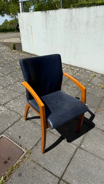 2 Leoluxe eetkamerstoelen