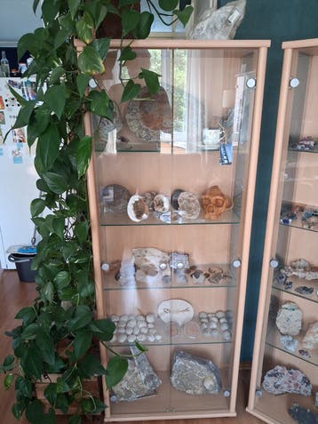 Mooie vitrine kasten 5x gratis op te halen!!!