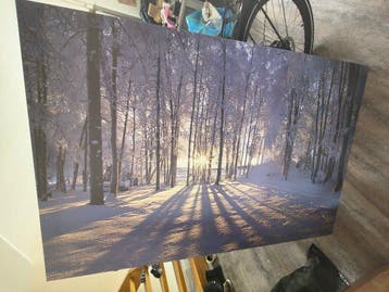 Canvas schilderijen gratis
