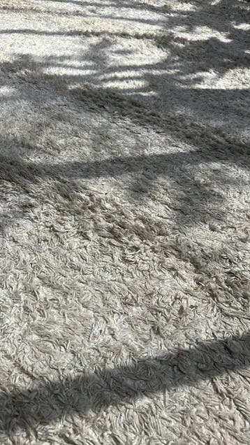 Vloerkleed