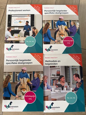 Angerenstein Welzijn boeken: Professioneel werken, Methodiek