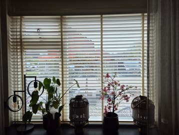 Witte/crème houten lamellen 194br/155h gratis
