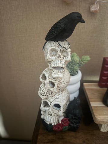 Schedels met raven (wordt mogelijk opgehaald)