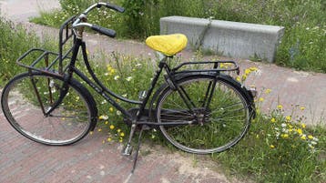 Gratis afhalen - Batavus old Dutch