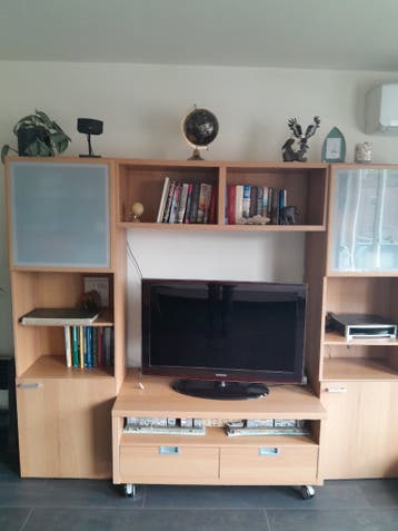 boeken- en televisie kast.