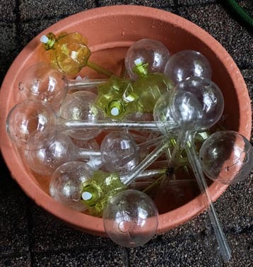Waterdruppelaars