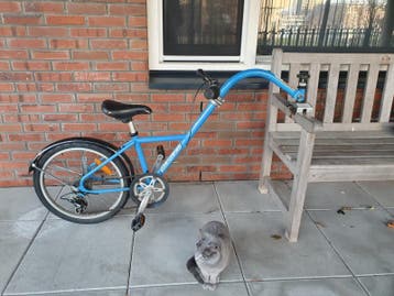 Aanhangfiets Burley kind