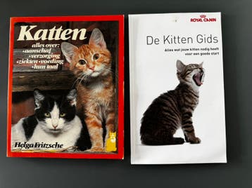 Gratis ophalen! Katten en Kitten.