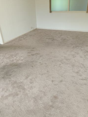 GRATIS vloerbedekking- 60m2