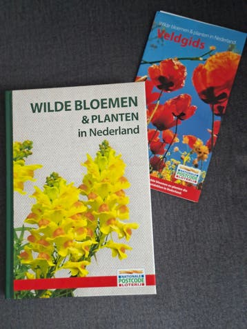 Wilde bloemen & planten