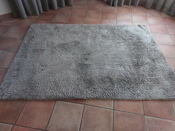 Comfortabel vloerkleed - Beige/Bruin - Gebruikt