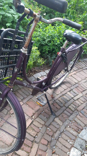 Gratis !! Batavus Old Dutch Opoe Fiets Kroegfiets Paars