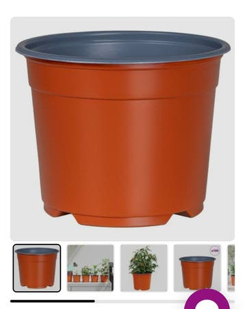 Zoek gratis kunststof bloempotten bakken tussen 15 / 25 cm.¤