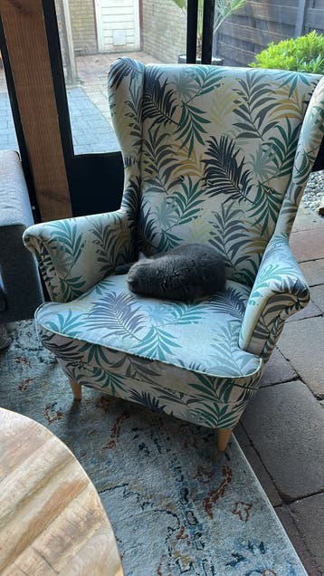 GRATIS OP TE HALEN !! 2x Stoelen izgst
