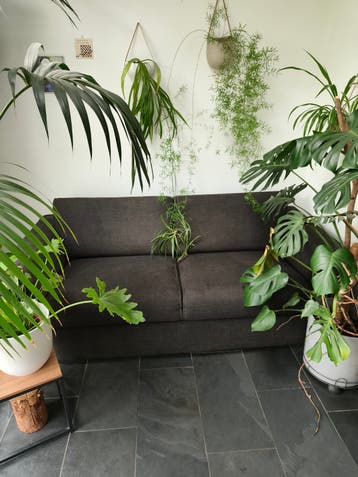 Gratis Montel 2,5-zits bank, antraciet
