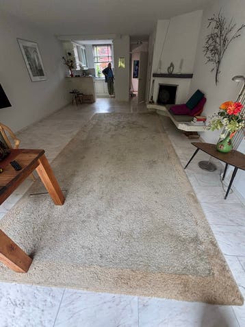 Groot vloerkleed 5x2.45m gratis afhalen in Bleiswijk