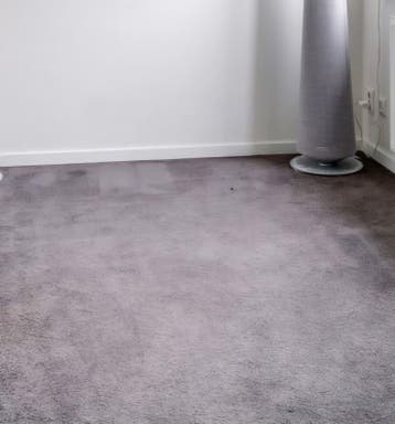 Gratis tapijt (zelf verwijderen) - goede staat