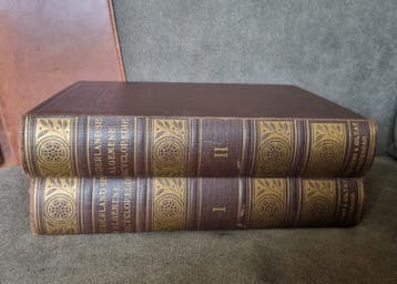 2 delige  Ned.  Algemene Encyclopaedie - 960 p.  1950