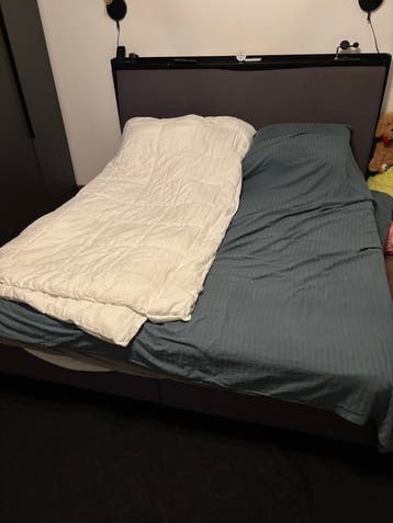 Elektrisch Tweepersoonsbed met hoofdbord