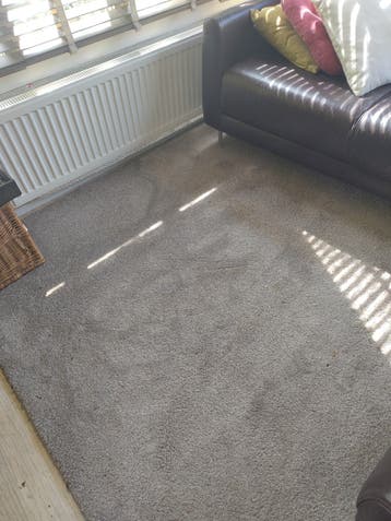 Gratis vloerkleed grijs
