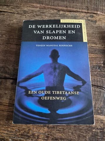 Boek de werkelijkheid van slapen en dromen