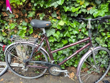 Fiets gratis op te halen