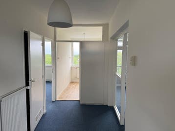 Gratis: Ongeveer 80m² blauwe vloerbedekking