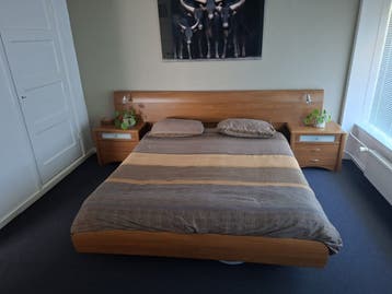 Bed GRATIS AFHALEN!