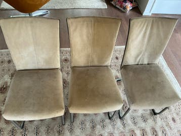 6 bert plantegie eetkamerstoelen gratis af te halen