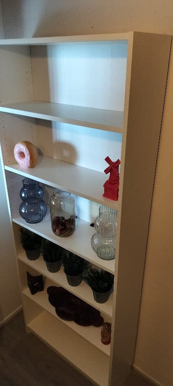 Boekenkast Billy