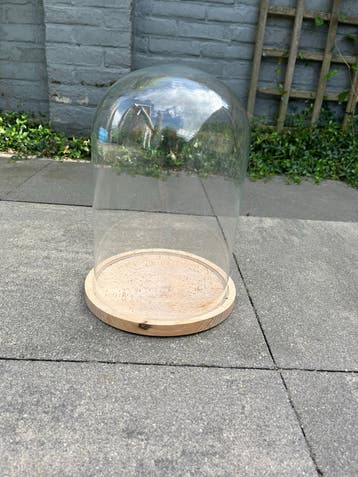 Glazen stolp met houten plaat - 28 cm hoog, 21 cm breed