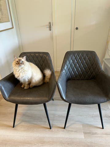Twee eetstoelen