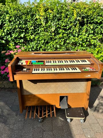 GEM Wizard 335 Orgel - Vintage Elektronisch Orgel