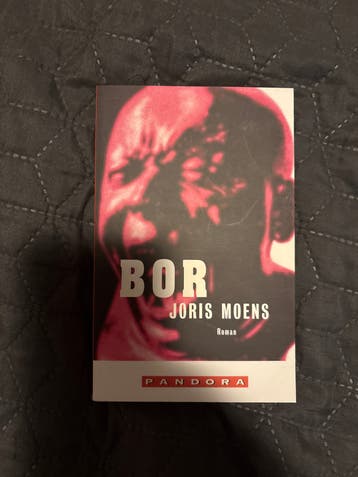 BOR - Joris Moens (Roman)