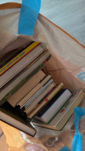 Diverse kinderboeken