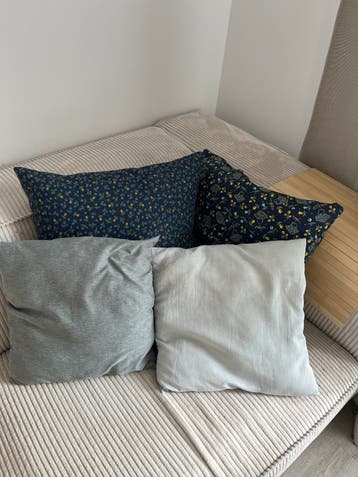 Set van 4 kussens: 2 met bloemenprint, 2 effen