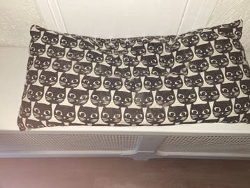 kattenspullen gevraagd