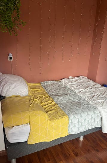 Comfortabel tweepersoonsbed met boxspring
