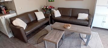 Bruine leren tweepersoonsbank - Comfortabel en stijlvol