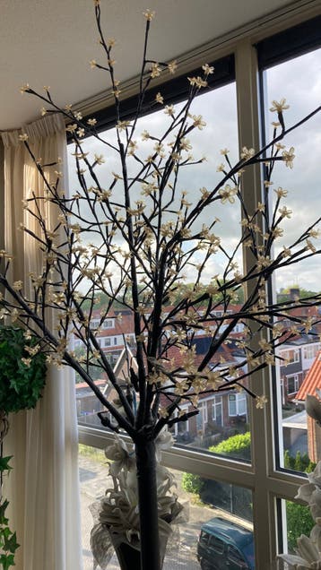 Gratis lichtjes boom verlichting