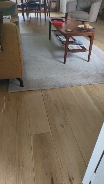 Gratis af te halen: Vloerkleed 160x230 cm (reiniging nodig)