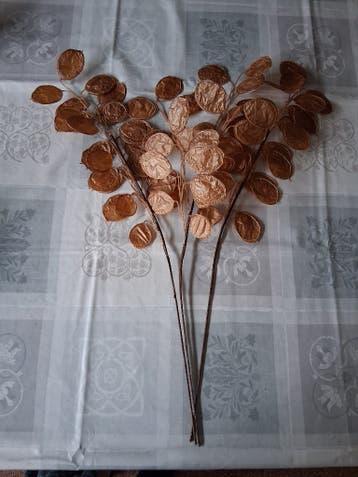 Kunststengel eucalyptus bruin, set van 3