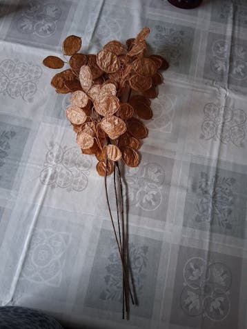 Kunsttak eucalyptus bruin, set van 3