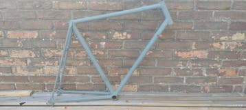 Gazelle Champion Mondial frame