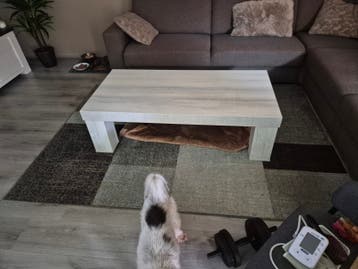 Moderne salontafel, licht houtkleur